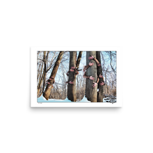 Load image into Gallery viewer, Tree Hugger - Fine Art Print
