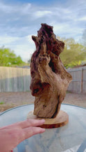 Load and play video in Gallery viewer, Root Sculpture
